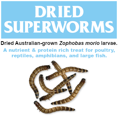 download superworms for sale
