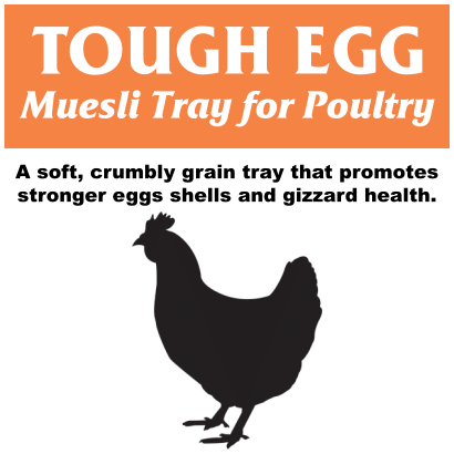 Tough Egg Muesli Tray Thumb